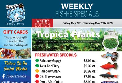 Big Al's (Whitby) Weekly Specials May 19 to 25