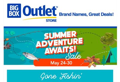 Big Box Outlet Store Flyer May 24 to 30