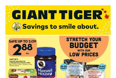 Giant Tiger (ON) Flyer May 24 to 30