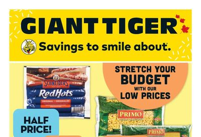 Giant Tiger (ON) Flyer May 31 to June 6