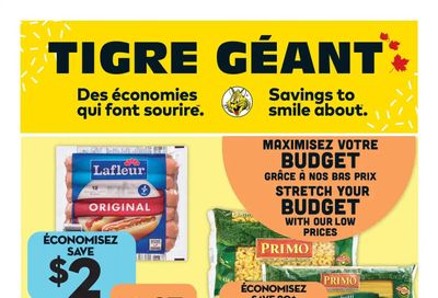 Tigre Géant Flyer May 31 to June 6