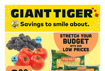 Giant Tiger (West) Flyer May 31 to June 6