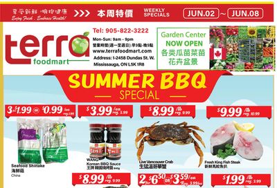 Terra Foodmart Flyer June 2 to 8