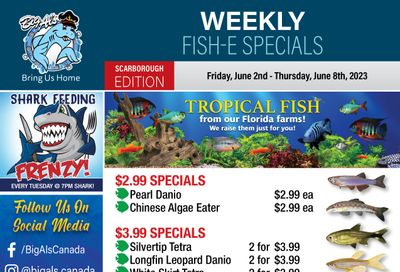 Big Al's (Scarborough) Weekly Specials June 2 to 8