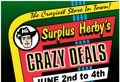 Surplus Herby's Flyer June 2 to 4