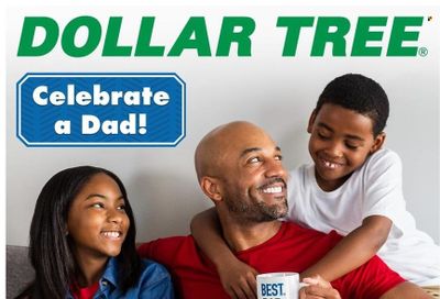 Dollar Tree Weekly Ad Flyer Specials May 30 to June 10, 2023
