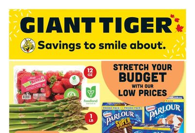 Giant Tiger (ON) Flyer June 7 to 13