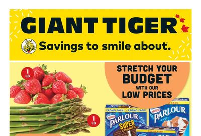 Giant Tiger (Atlantic) Flyer June 7 to 13