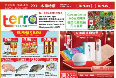 Terra Foodmart Flyer June 9 to 15