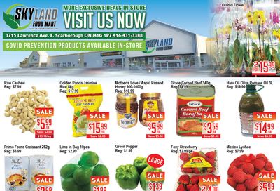Skyland Food Mart Flyer June 9 to 15