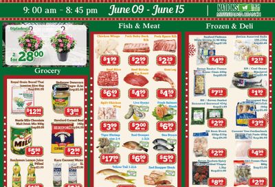 Nations Fresh Foods (Mississauga) Flyer June 9 to 15