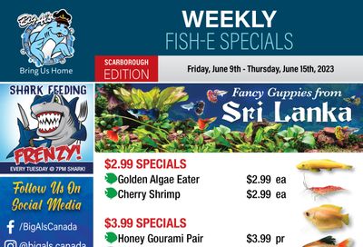 Big Al's (Scarborough) Weekly Specials June 9 to 15