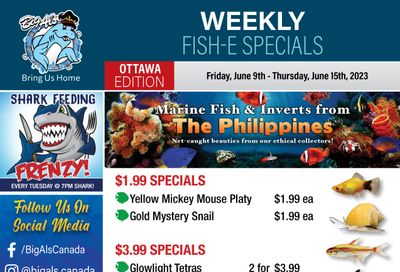 Big Al's (Ottawa East) Weekly Specials June 9 to 15