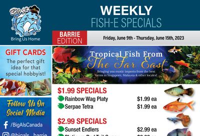 Big Al's (Barrie) Weekly Specials June 9 to 15