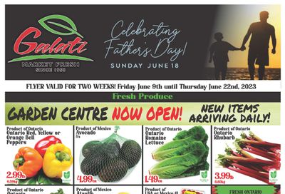 Galati Market Fresh Flyer June 9 to 22