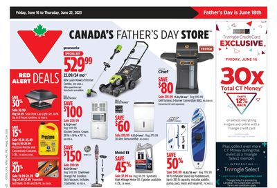 Canadian Tire (ON) Flyer June 16 to 22