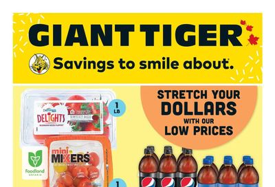 Giant Tiger (ON) Flyer June 14 to 20