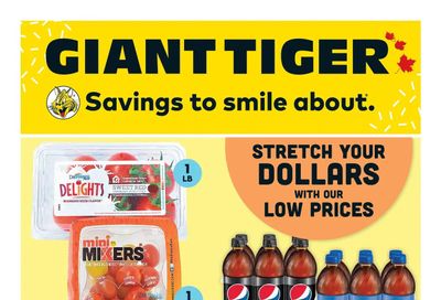 Giant Tiger (Atlantic) Flyer June 14 to 20