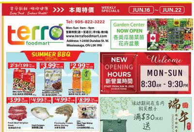 Terra Foodmart Flyer June 16 to 22