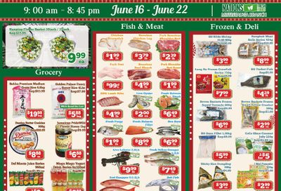 Nations Fresh Foods (Mississauga) Flyer June 16 to 22