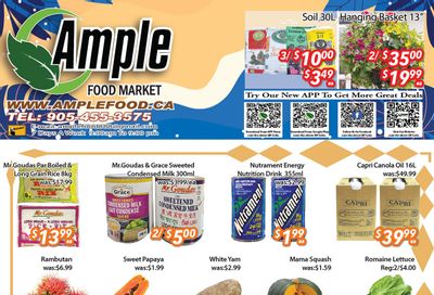 Ample Food Market (Brampton) Flyer June 16 to 22