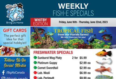 Big Al's (Whitby) Weekly Specials June 16 to 22