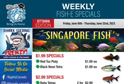 Big Al's (Ottawa East) Weekly Specials June 16 to 22