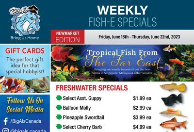 Big Al's (Newmarket) Weekly Specials June 16 to 22