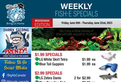 Big Al's (Mississauga) Weekly Specials June 16 to 22