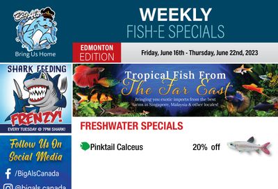 Big Al's (Edmonton) Weekly Specials June 16 to 22