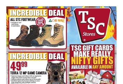 TSC Stores Flyer November 1 to 7