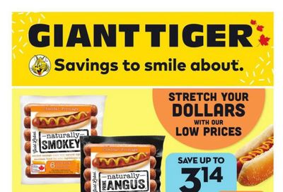 Giant Tiger (Atlantic) Flyer June 21 to 27