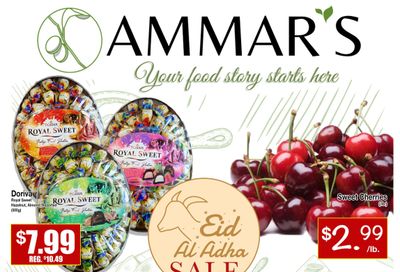 Ammar's Halal Meats Flyer June 22 to 28