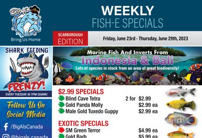 Big Al's (Scarborough) Weekly Specials June 23 to 29