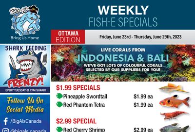 Big Al's (Ottawa East) Weekly Specials June 23 to 29