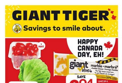 Giant Tiger (Atlantic) Flyer June 28 to July 4