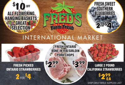 Fred's Farm Fresh Flyer June 28 to July 4