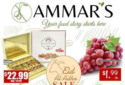 Ammar's Halal Meats Flyer June 29 to July 5