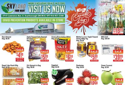 Skyland Food Mart Flyer June 30 to July 6
