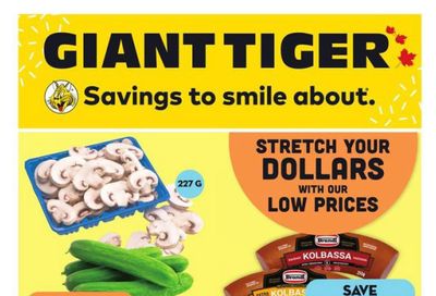 Giant Tiger (Atlantic) Flyer July 5 to 11