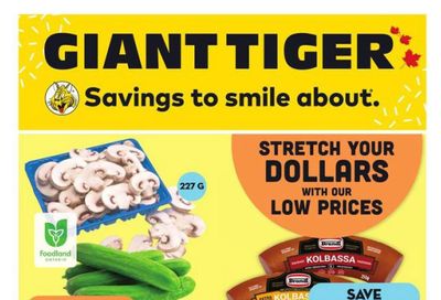 Giant Tiger (ON) Flyer July 5 to 11