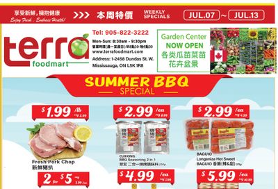 Terra Foodmart Flyer July 7 to 13