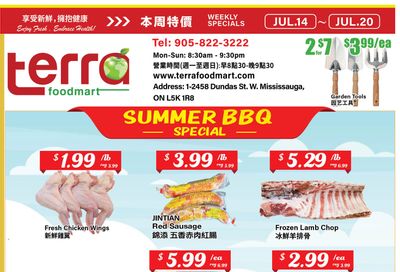 Terra Foodmart Flyer July 14 to 20