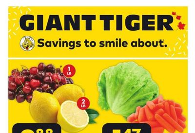 Giant Tiger (Atlantic) Flyer July 19 to 25