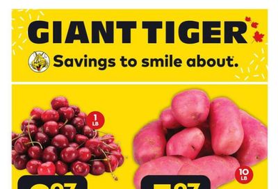 Giant Tiger (West) Flyer July 19 to 25