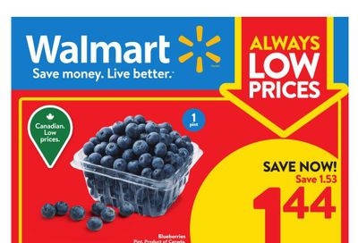 Walmart (ON) Flyer July 27 to August 2
