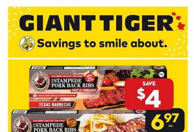 Giant Tiger (ON) Flyer July 26 to August 1