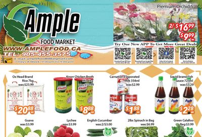 Ample Food Market (Brampton) Flyer August 4 to 10