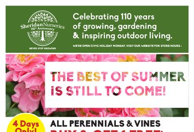 Sheridan Nurseries Flyer August 3 to 16