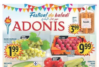 Marche Adonis (QC) Flyer August 10 to 16